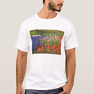 Netherlands aka Holland), Lisse. Keukenhof 8 T-Shirt