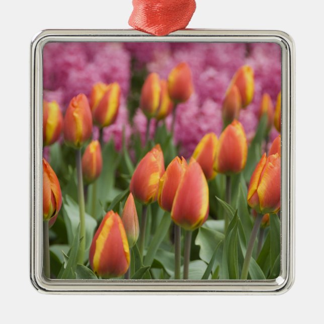 Netherlands (aka Holland), Lisse. Keukenhof Metal Ornament (Front)