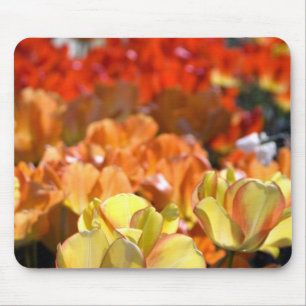 Netherlands aka Holland), Lisse. Keukenhof Mouse Pad
