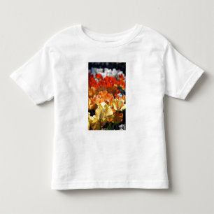 Netherlands aka Holland), Lisse. Keukenhof Toddler T-shirt