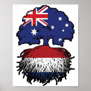 Netherlands Dutch Australian Australia Tree Roots Poster