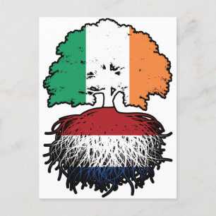 Netherlands Dutch Irish Ireland Tree Roots Flag Postcard