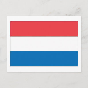 Netherlands Flag Postcard