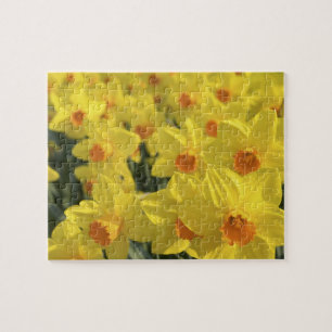 Netherlands, Holland, Lisse, Keukenhof Gardens, Jigsaw Puzzle