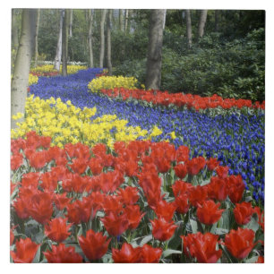 Netherlands, Holland, Lisse, Keukenhof Gardens Tile