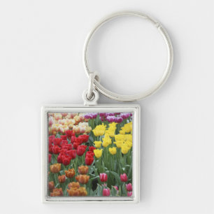 Netherlands, Keukenhoff Gardens, tulips. Keychain