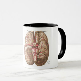Netter Basal View of Brain - Mug
