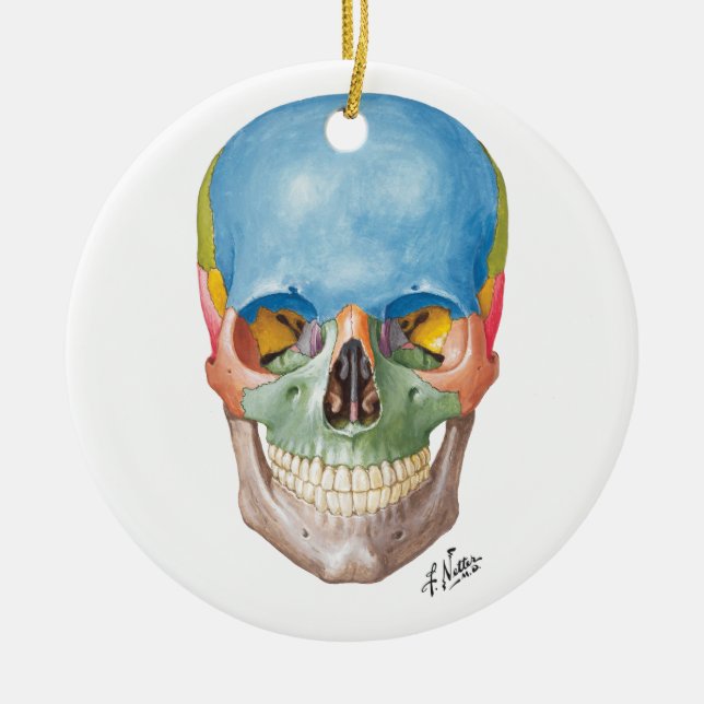 Netter Skull for your Christmas Tree Ceramic Ornament (Front)