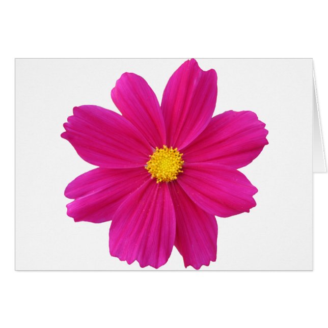 Nettoyer.png (Devant horizontal)