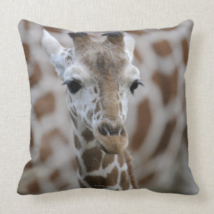 Netzgiraffe, Giraffa camelopardalis reticulata Throw Pillow