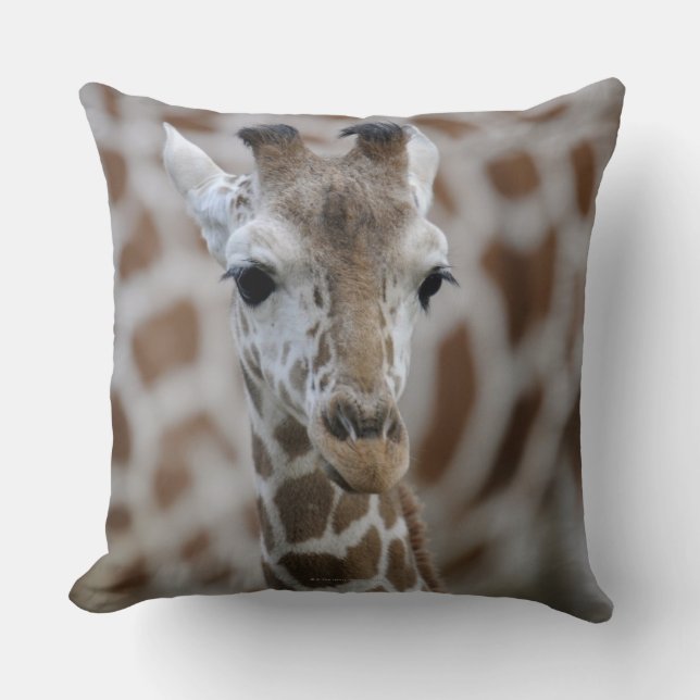 Netzgiraffe, Giraffa camelopardalis reticulata Throw Pillow (Front)