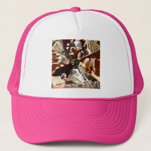 Neuf Triangles Meerkat, Casquette de camions