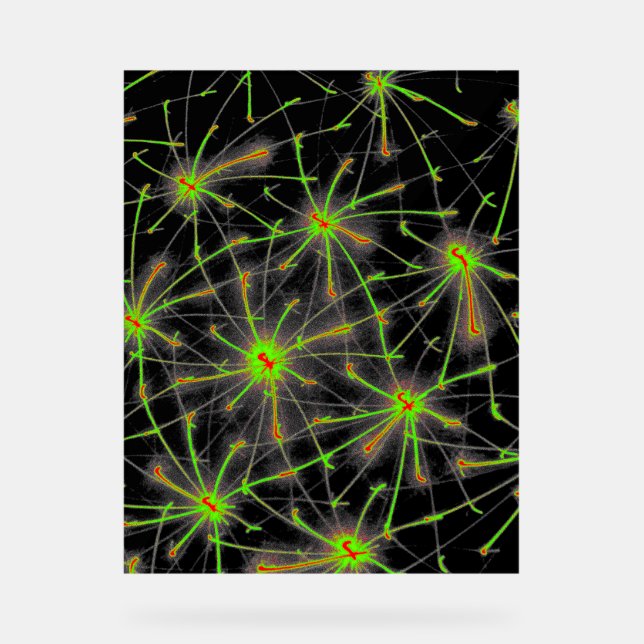Neural Network Burst - Premium Acrylic Sign (Front)