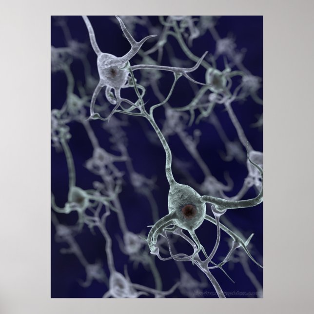 Neural Network Poster (Front)