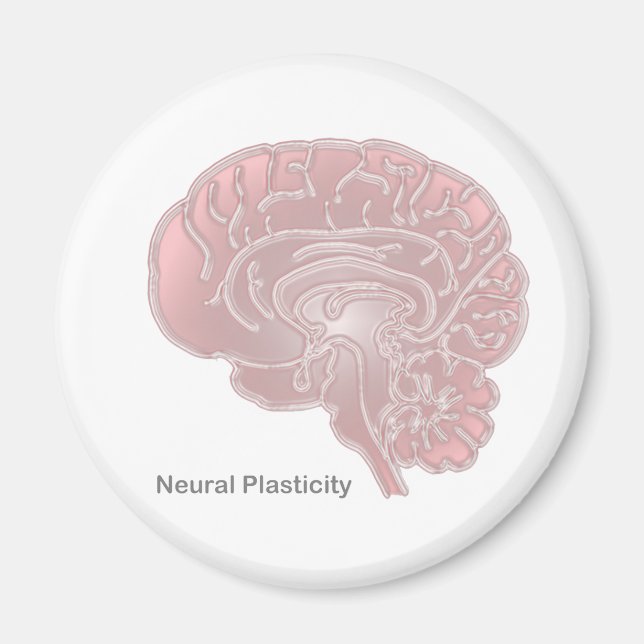 Neural Plasticity Magnet (Front)