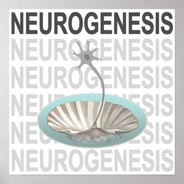 Neurogenesis Poster (Front)