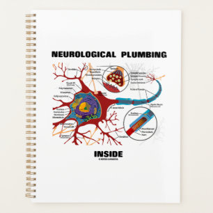 Neurological Plumbing Inside Neuron Synapse Humour Planner