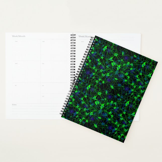 Neuron City Planner (Display)