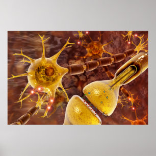 Neuron Poster