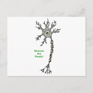 Neurons Are Plastic! Postcard
