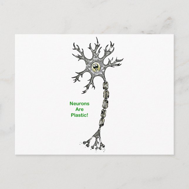 Neurons Are Plastic! Postcard (Front)