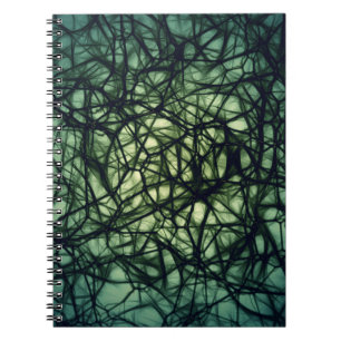 Neurons Notebook