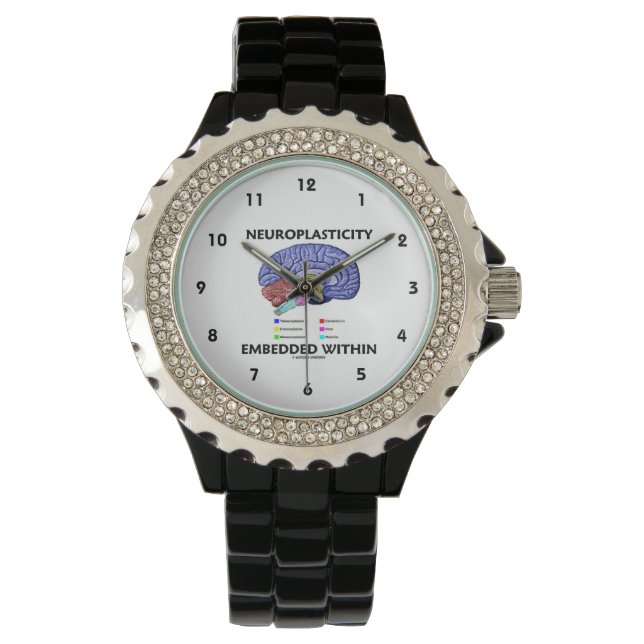 Neuroplasticity Embedded Within (Brain Anatomy) Watch (Front)
