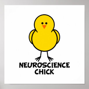Neuroscience Chick Poster