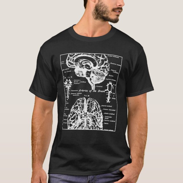 Neuroscience Human Brain Anatomy Diagram T-Shirt (Front)