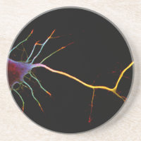 Neuroscience, neuron, science
