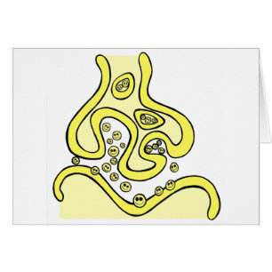 Neurotransmetteurs de sourire