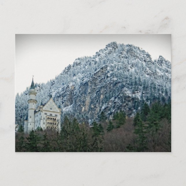 Neuschwanstein Castle - Germany - Postcard (Front)