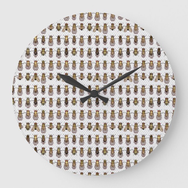 Neutral Color Drosophila Clock (Front)