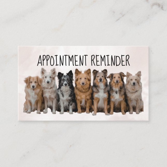 Neutral Dog Walker / Pet Sitter Appointment Card (Front)