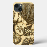 Neutral Shells and Coral Collection