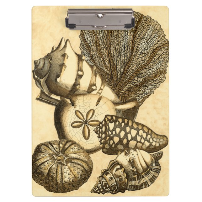 Neutral Shells and Coral Collection Clipboard (Front)