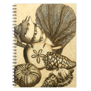 Neutral Shells and Coral Collection Notebook