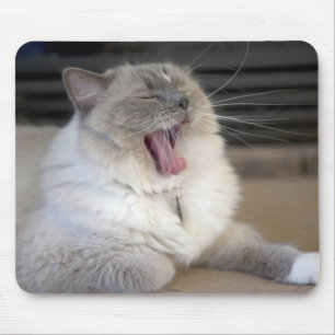 Neva Masquerade cat yawning Mouse Pad