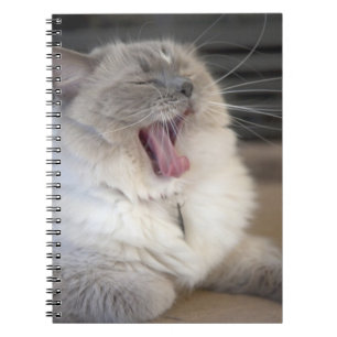 Neva Masquerade cat yawning Notebook