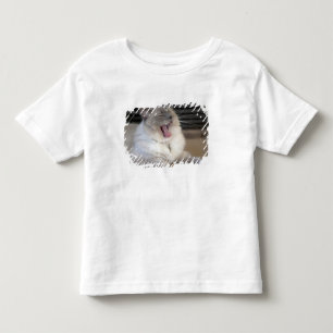 Neva Masquerade cat yawning Toddler T-shirt