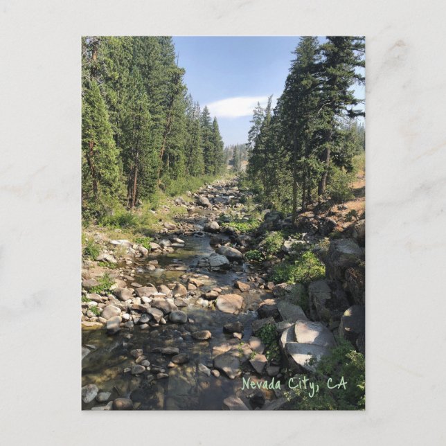 Nevada City California Postcard (Front)