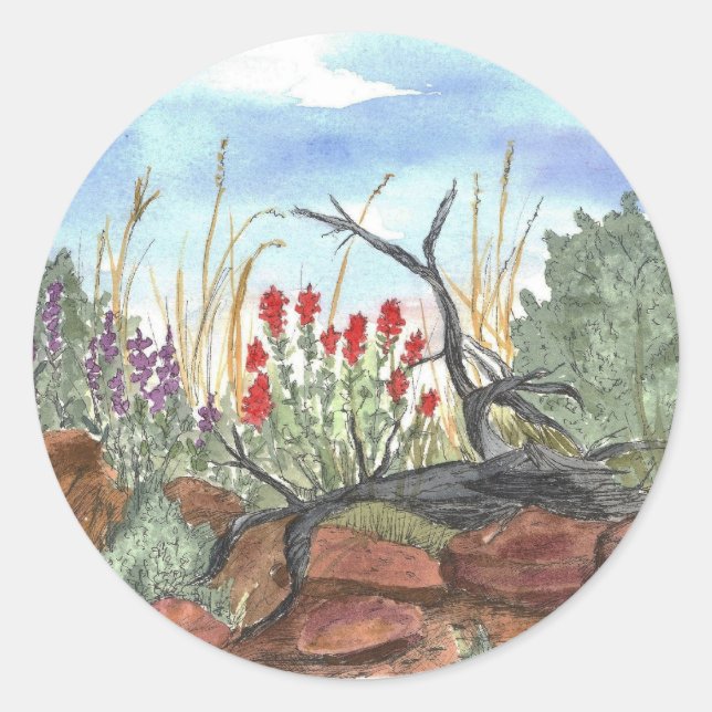 Nevada Desert Indian Paintbrush Classic Round Sticker (Front)