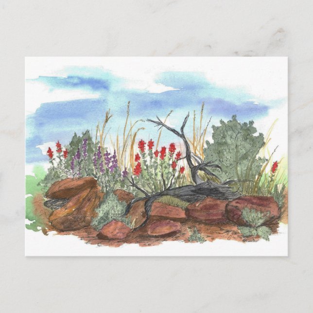 Nevada Desert Indian Paintbrush Watercolor Postcard (Front)