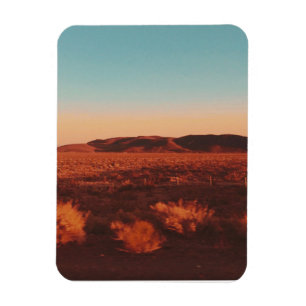 Nevada Desert  Magnet