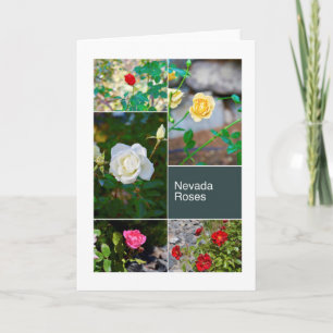 Nevada Roses in Rhine Parks photo collage Card