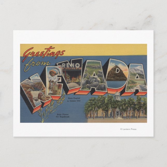 Nevada (State Capital/Flower) Postcard (Front)