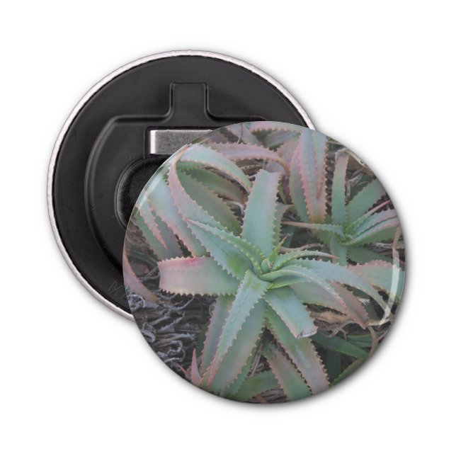 Nevada succulents   bottle opener (Front)