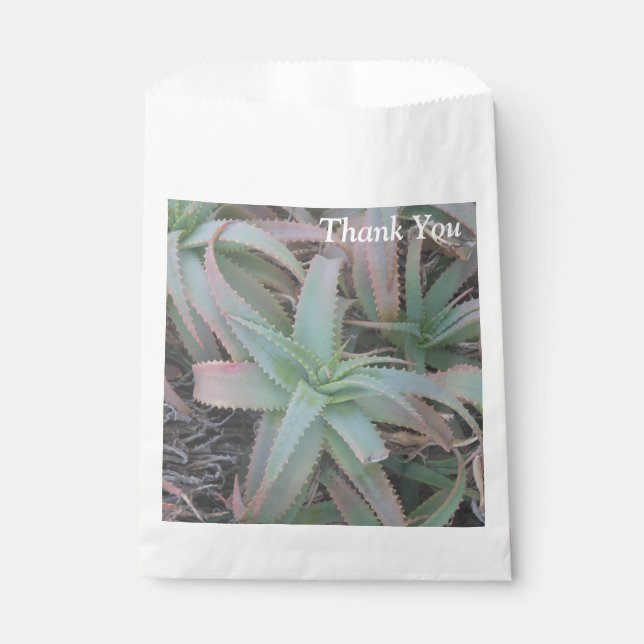 Nevada succulents       favour bag (Front)
