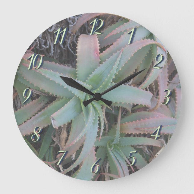 Nevada succulents large clock (Front)