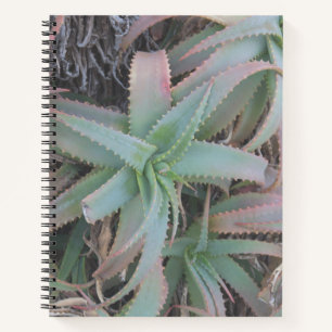 Nevada succulents notebook